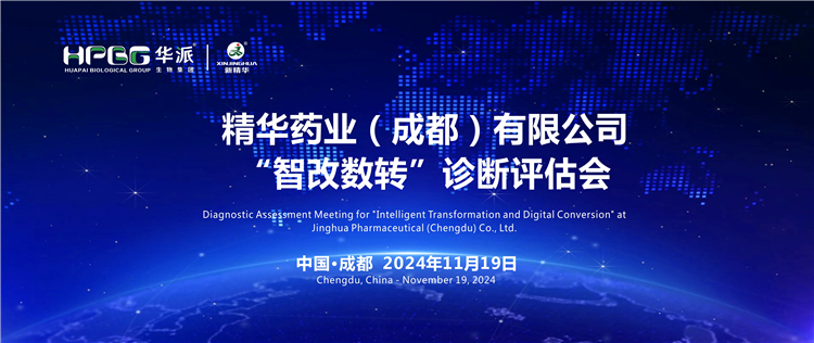 智能造作｜专家组光临华派集团&middot;豪门国际官网药业发展&ldquo;智改数转&rdquo;评估诊断