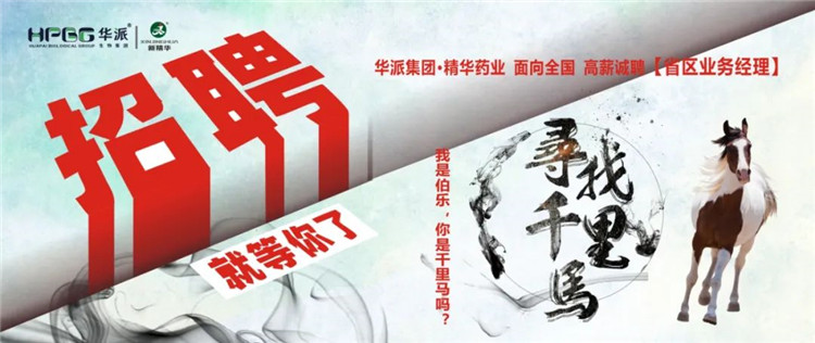 寻找千里马 | 华派集团&bull;豪门国际官网药业面 向全国高薪诚聘【省区业务经理】 我是伯乐，你是千里马吗？