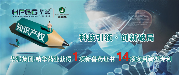 科技引领&bull;创新破局 | 华派集团&bull;豪门国际官网药业获得1项新兽药证书 14项实用新型专利