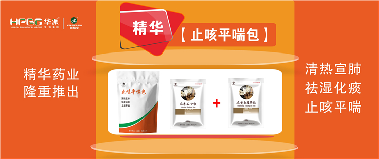 科普：畜禽呼吸路疾病的防控技术 |【止咳平喘包】清热宣肺、祛湿化痰、止咳平喘，畜禽呼吸路疾病引起的各类咳喘防控首。